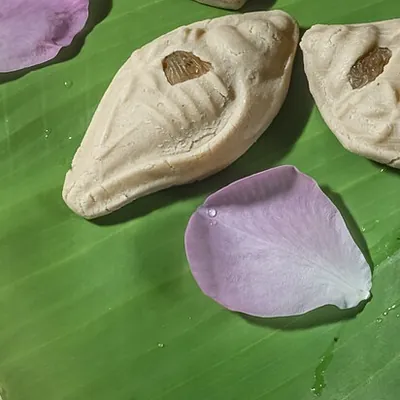 Nolen Gur Sandesh